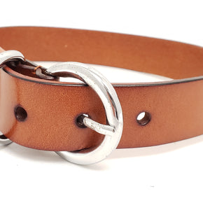 Brown Leather Dog Collar Plane - Large