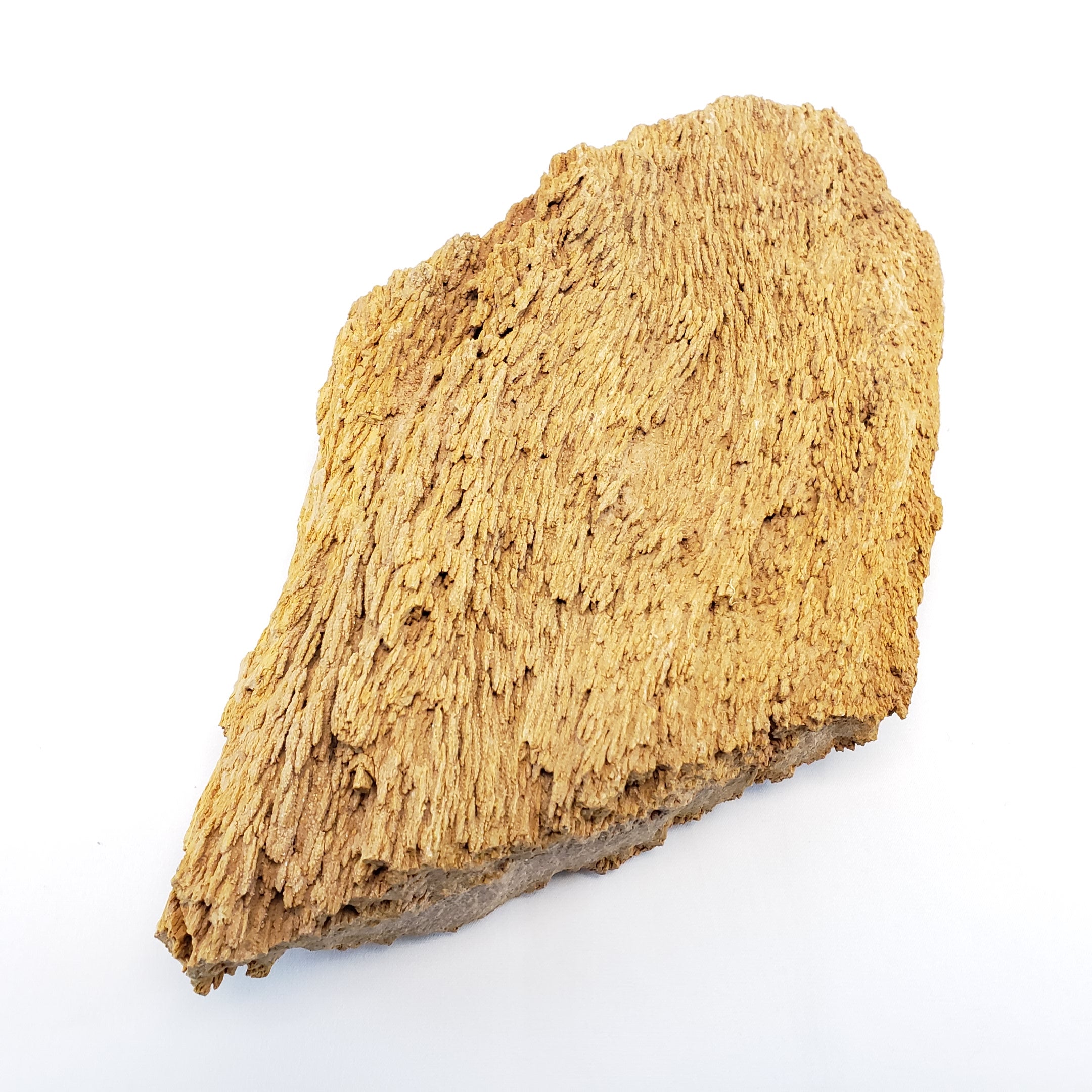 Lifegard Aquatic Burma Petrified Stone 10g Rock Kit