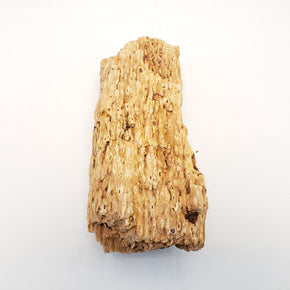 Burma Petrified Stone 10 Gallon Kit-Approximately 2-Medium/5-Small Roc -  Lifegard Aquatics