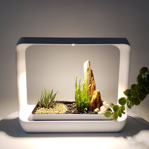 LED Garden Kit with Planter Box Kit