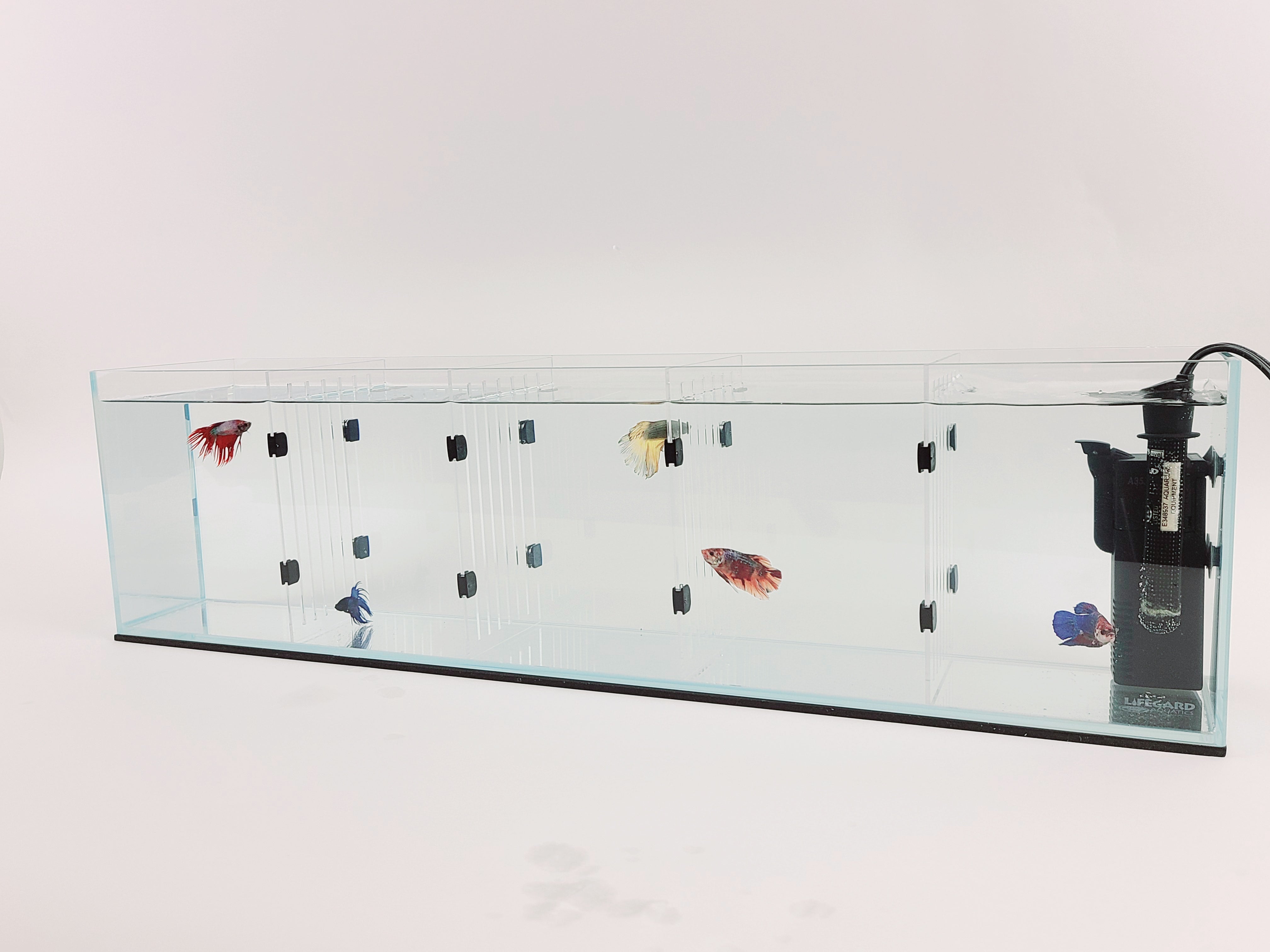 Acrylic Divider Plate for 6 Gallon Bookshelf Aquariums - CLEAR