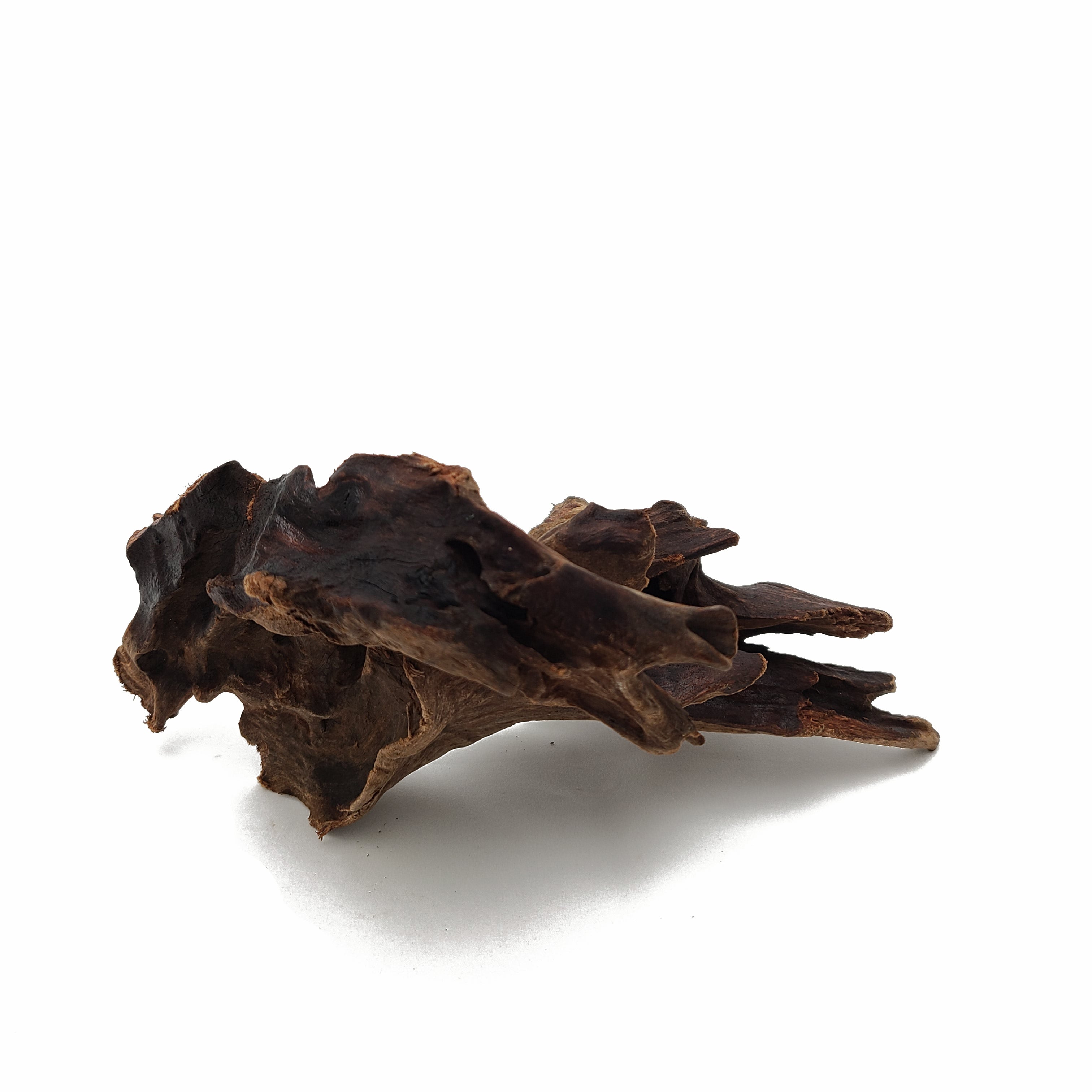 Small (4-6) Spider Wood Driftwood – Glass Grown Aquatics