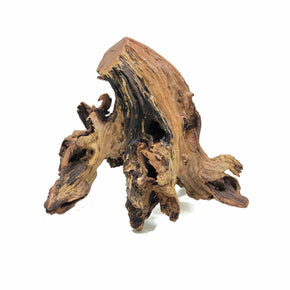 Small Spider Wood / Cuckoo Root-Approximate Size 6-12 - Lifegard