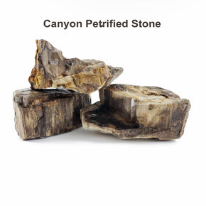 Canyon Petrified Stone - 44 Lbs box of SMALL size stones