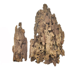 Spider Wood / Cuckoo Root - Approximate Size 12-23