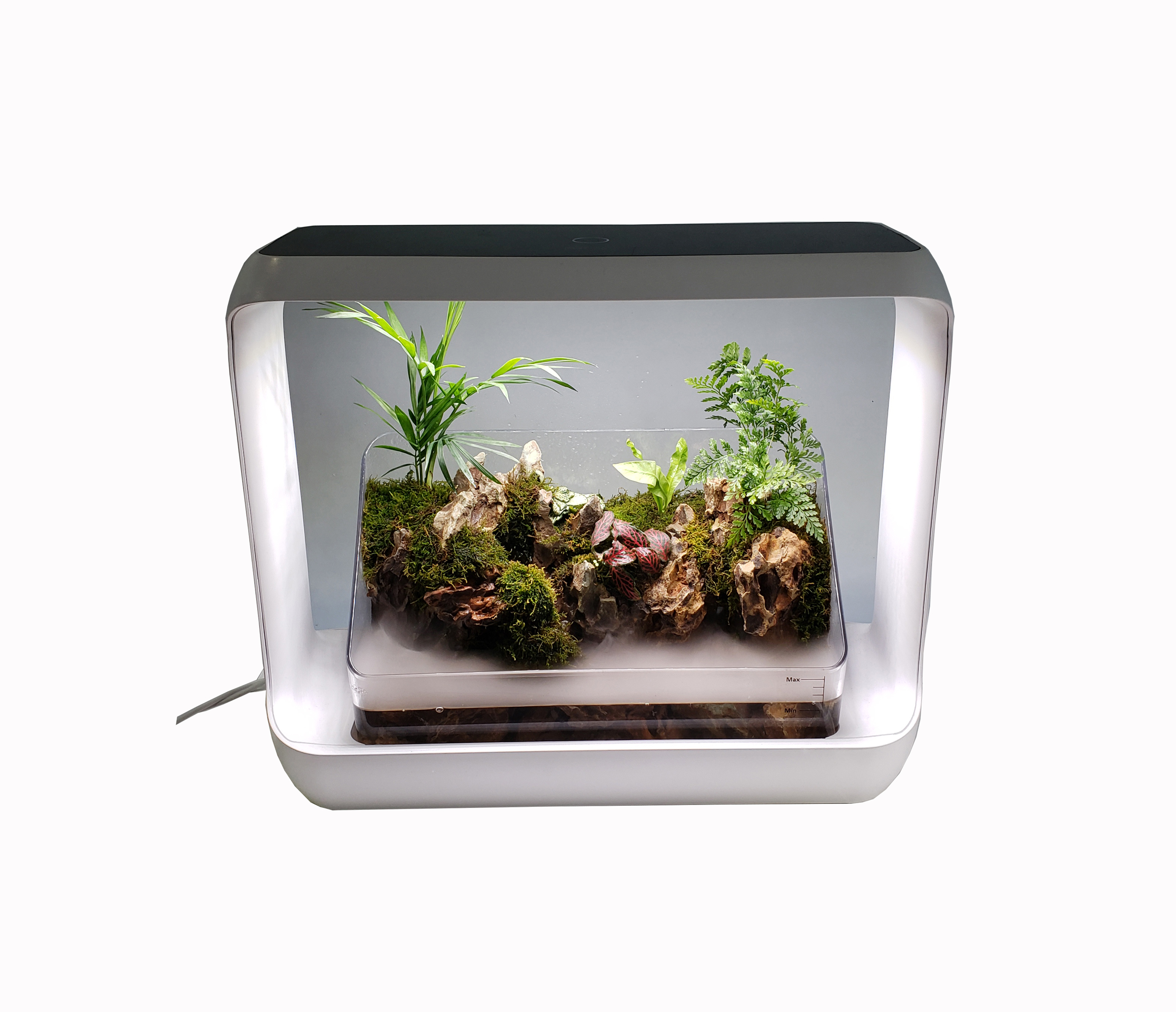 Terrarium Set with LED Grow Light for Sale