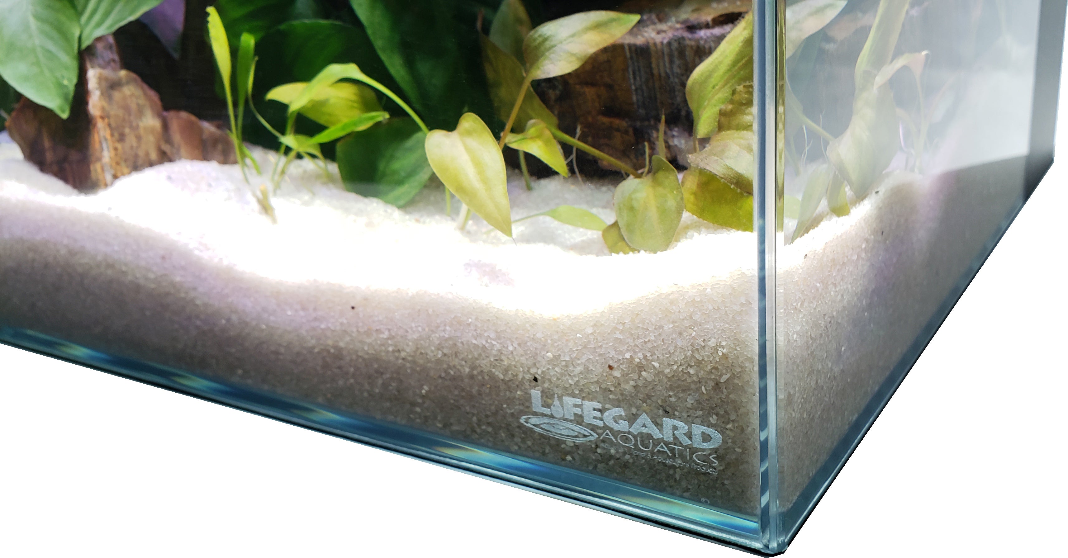 CRYSTAL 45 Degree Low Iron Ultra Clear Aquarium with Built in Side Fil -  Lifegard Aquatics