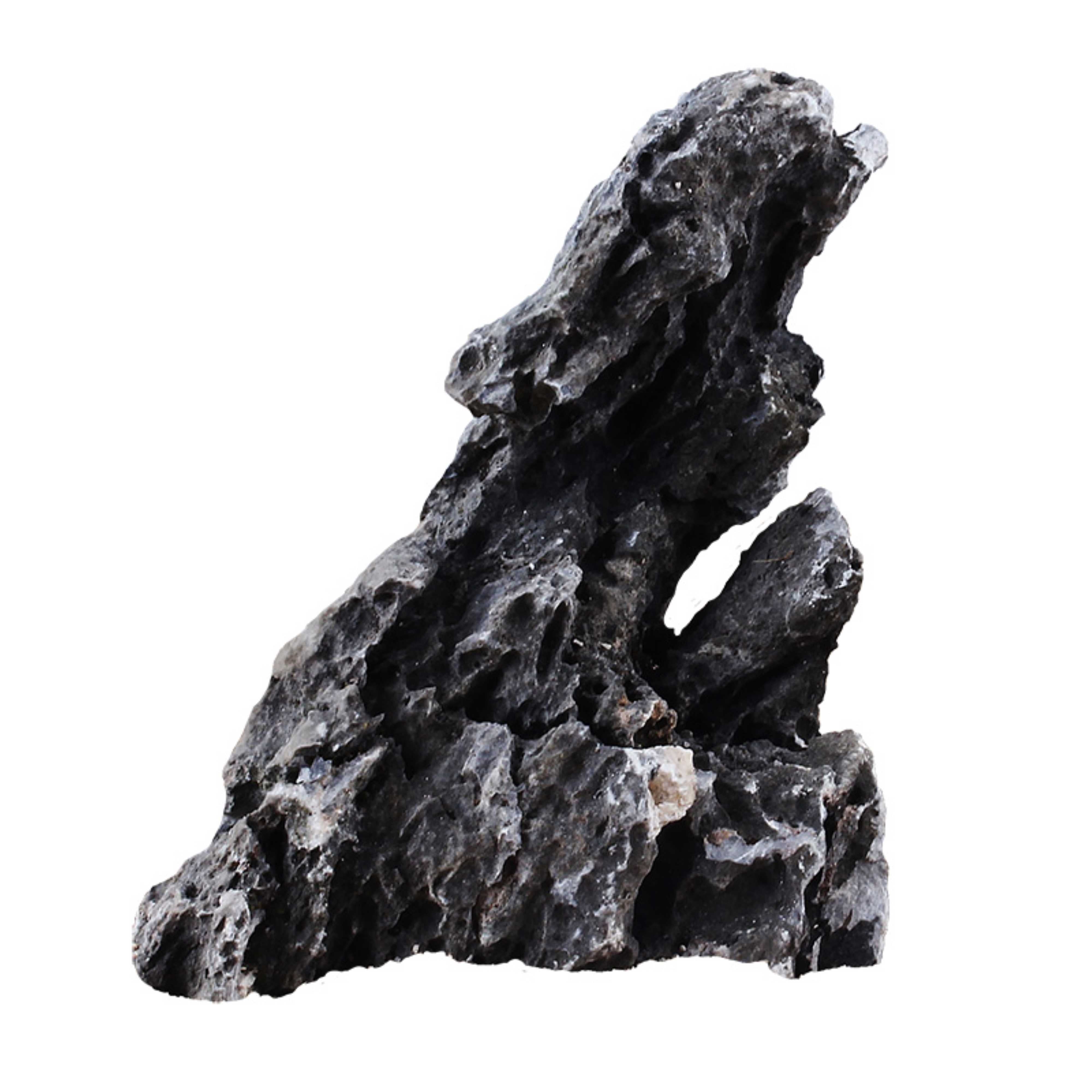 KINGRUI Seiryu Rock Stone - Natural Aquarium Rocks for Landscaping, Fish  Tank D