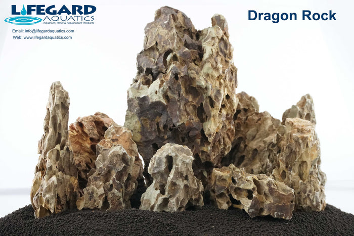 Dragon Stone Aquarium Rocks Amazing Ohko Stones to Create The Perfect  Habitat for Your Aquarium or Terrarium (20 lbs.) 0040002 - The Home Depot