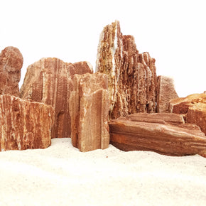 Red Wood Petrified Stonee - 44 Lbs box of MIX SIZE size stones
