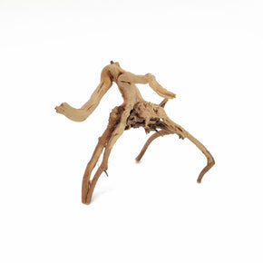 Small Spider Wood / Cuckoo Root-Approximate Size 6"-12"