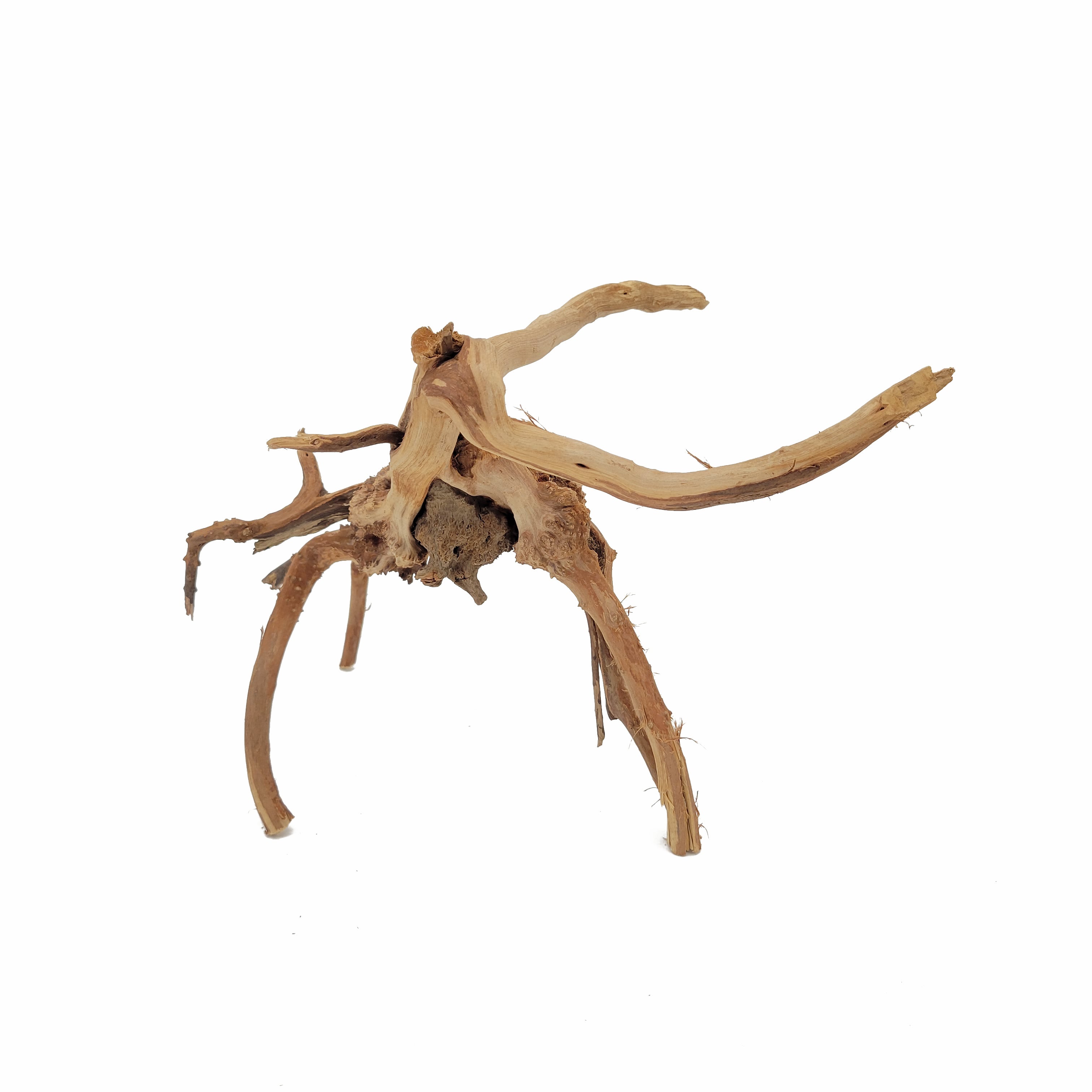 Spider Wood #S0078 – AquaSnails