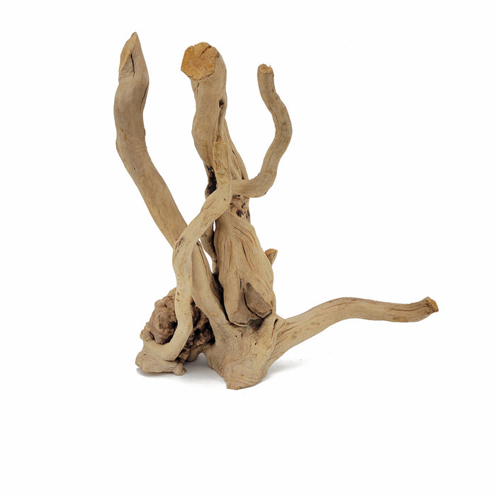 Spider Wood / Cuckoo Root (6-12 Inches) - Bulk Reef Supply