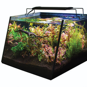 Lifegard Full-View 5 Gallon Aquarium KIT with LED Light and Submersible Filter